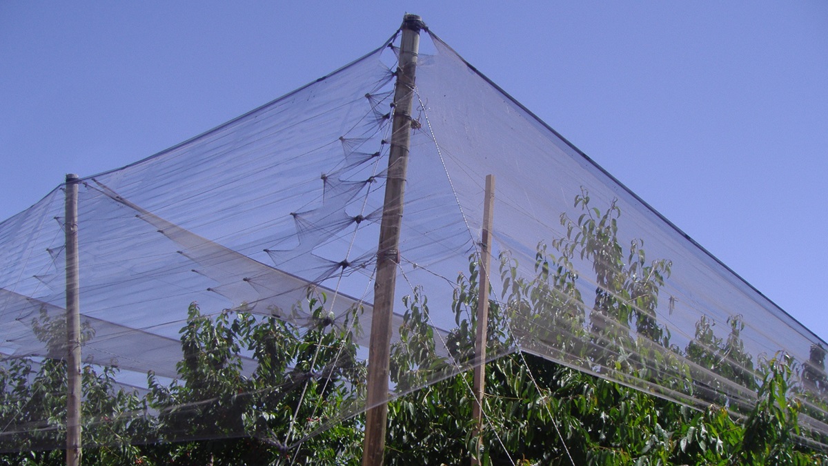 Agrisafe malla textil de Agralia|Agrisafe-AGL|Agrisafe CV|Agrisafe-AGR|Agrisafe-AGL|Agrisafe-AGL|Agrisafe TNT